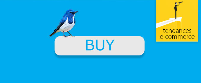 blogTitle-twitter_buy-1v0001-w680h280
